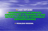 de estudio.pdf · MIA Regional: Proyecto “Terminal de Gas Natural Licuado de Manzanillo” Generalidades del Proyecto. Tipo de Proyecto. El proyecto consistirá en el …
