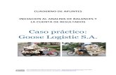 Caso práctico: Goose Logistic S.A. - … · CUADERNO DE APUNTES INICIACION AL ANALISIS DE BALANCES Y LA CUENTA DE RESULTADOS Caso práctico: Goose Logistic S.A. ... (“Goose”