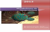 Metabolismo de lipoproteínas - …ecaths1.s3.amazonaws.com/quimicabiologica2/1137314309.Apunte... · glicerol para formar TAG, los cuales son empaquetados con pequeñas cantidades