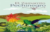 El Zamarrito Pechinegro - rufford.org Booklet.pdf · Es el cuarto país con mayor diversidad de aves en todo el ... ocasionan la pérdida de plantas y animales, ... chincha a un poco