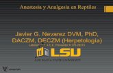 Javier G. Nevarez DVM, PhD, DACZM, DECZM … · depresión reversible controlada del sistema nervioso central y la analgesia. Los pacientes bajo anestesia general no son reanimables