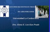 Universidad Le Cordon Bleu Dra. Elena E. Lon Kan Pradorepositorio.concytec.gob.pe/bitstream/CONCYTEC/50/17/3_Estudios... · El ají, en sus muchas variedades, es uno de los pocos