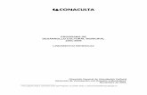 PROGRAMA DE DESARROLLO CULTURAL …culturacolima.gob.mx/v2/wp-content/uploads/2011/10/LINEAMIENTOS... · DESARROLLO CULTURAL MUNICIPAL 2001-2006 LINEAMIENTOS GENERALES Dirección