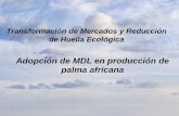 Adopción de MDL en producción de palma africanaassets.panda.org/downloads/transformacion_de... · biogás a partir de las aguas residuales generadas en el proceso de extraccion