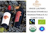 VINOS LAUTARO (Sociedad Vitivinícola Sagrada … PP Vinos... · Historia y Experiencia •En 1997, 17 pequeños productores constituyen la Sociedad Vitivinícola Sagrada Familia