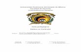 Universidad Autónoma del Estado de México Facultad …derecho.uaemex.mx/U2017-B/Plan2015/Guias_A/L41827.pdf · Objetivos del programa educativo: ... Método individualizado o para