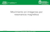 Movimiento en imágenes por resonancia magnética · Movimiento en imágenes por resonancia magnética 05/06/2012 1 ... secuencia). Ej: ... Gradiente de sección, ...