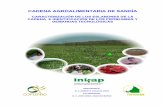 CADENA AGROALIMENTARIA DE SANDÍA - …cofupro.org.mx/cofupro/Publicacion/Archivos/penit52.pdf · II.4 Rentabilidad del Cultivo 26 II.4.1 Los sistemas de producción, su sustentabilidad