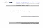 GUÍA DE PRÁCTICAS - ehu.eusde+PRACTICAS+2014-15.pdf · MÁSTER UNIVERSITARIO EN FORMACIÓN DEL PROFESORADO DE EDUCACIÓN SECUNDARIA OBLIGATORIA Y BACHILLERATO, FORMACIÓN PROFESIONAL
