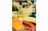 Fundación Produce Sinaloa, A.C. - cultivopapaya.org · para la papaya, su manejo ... ésta se reﬂ eja en la sobrevivencia, vigor y desarrollo del ... especíﬁ camente el Virus