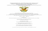 DIRECCIÓN GENERAL DE SERVICIO SOCIAL …interpol.uasnet.mx/serviciosocial/informes/IFSS-019-2008.pdf · UNIVERSIDAD AUTÓNOMA DE SINALOA DIRECCIÓN GENERAL DE SERVICIO SOCIAL ...