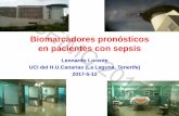 Biomarcadores pronósticos en pacientes con sepsis€¦ · Indice * Biomarcadores de disfunción (creatinina, bilirrubina, plaquetas) * Biomarcadores de hipoperfusión tisular (láctico)