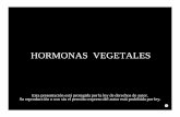 064b hormonas vegetales - botanicarum.weebly.com · • Al igual que las citoquininas que estudiarás más adelante, las auxinas tienen importancia en biotecnología. Se usan para