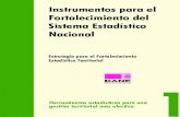 Instrumentos para el Fortalecimiento del Sistema ... · Instrumentos para el Fortalecimiento del Sistema Estadístico Nacional 1 Estrategia para el Fortalecimiento Estadístico Territorial