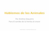 Hablemos de los Animales - autismonavarra.com · Hablemos de los Animales Por Andrea Sequeira Para El sonido de la hierba al crecer Andrea Sequeira - El sonido de la hierba al crecer