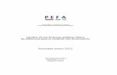 Gestión de las finanzas públicas Marco de referencia …siteresources.worldbank.org/PEFA/Resources/PMFSpanish-Final2.pdf · NIEPAI / ISPPIA Normas Internacionales para el Ejercicio