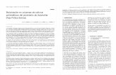 Biolixiviación en columnas de sulfuros polimetálicos …eprints.ucm.es/46005/1/concha1.pdf · Biolixiviación en columnas de sulfuros polimetálicos del yacimiento de Aznalcóllar