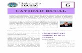 Cavidad Bucal - Apoyo para la Fac. de Odontología – … Bucal.pdf · siempre se mantiene húmeda por las glándulas salivales anexas. ... Los labios constan de ... cúmulos de
