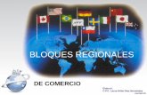 BLOQUES REGIONALES - … · introduccion la formacion de bloques regionales de comercio es un fenomeno que desde hace una decada se esta desarrollando rapidamente, ha cambiado la