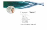 Proyecto PROMO - iesvillaverde.es · desarrollo de la actividad Organizar una charla semanal de unos 15 minutos de duración, con apoyo informático y con un pequeño cuestionario