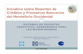 Iniciativa sobre Reportes de Créditos y Prestamos ...cemla.org/.../2010-05-EducacionFinanciera/reportes-credymicrofinan.pdf · requerimientos mínimos de capital, IRB, bancos deben