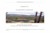 Capitulo XI Problemática Ambiental - corpoboyaca.gov.co · del recurso hídrico (Lago de Tota), pero no se evidencia de forma clara los impactos tanto naturales como antrópicos