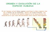 ORIGEN Y EVOLUCIÓN DE LA ESPECIE HUMANA - …biogeods.hol.es/javier/cc1/doc/evolucionhumana/evoluciondelaespecie... · favorecen la postura erguida y la marcha bípeda en los seres