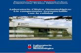 Laboratorio Clínico Hematológico: Un compromiso ...lch.co/wp-content/uploads/2015/08/politicas_de_calidad.pdf · mejores instrumentaciones de un laboratorio clínico privado a nivel