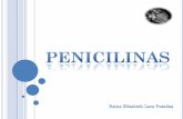 En 1940 se logró extraer la penicilina del hongo y · En 1940 se logró extraer la penicilina del hongo y recién en 1941 se la empleó con eficacia para tratar una infección por