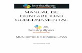 MANUAL DE CONTABILIDAD GUBERNAMENTAL - … · las cuales se establece el modelo de contabilidad del Municipio de Ixmiquilpan y facilita el entendimiento ... Organismos Descentralizados