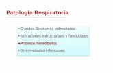 •Grandes Síndromes pulmonares •Alteraciones …campus.usal.es/~ogyp/Clases teoricas 2013 2014/Licenciatura 5... · • Infecciones bronquiales de repetición, inicialmente por
