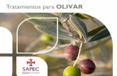 Tratamientos para OLIVAR - SAPEC AGRO€¦ · de una excelente micronización y que ... para controlar el repilo y la tuberculosis en olivar. ... complementaria que atacan y controlan