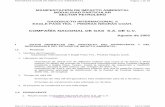 COMPAÑÍA NACIONAL DE GAS S.A. DE C.V. - SINATsinat.semarnat.gob.mx/dgiraDocs/documentos/coah/estudios/2002/05C… · SECTOR PETROLERO GASODUCTO ... la tubería. de escurrimiento.