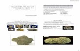 LOS MINERALES - acacia.pntic.mec.esacacia.pntic.mec.es/~lferna13/bg1/descargas2010/pdf/28... · Los anfíboles son minerales componentes de muchas rocas plutónicas y metamórficas.