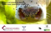 MANEJO INTEGRADO DE MOSCAS EN SISTEMAS …vetanco.com/pdf/manual_moscas_vetanco_conecar.pdf · El objetivo de este manual es dar un enfoque integral sobre el control de las moscas