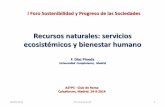 Recursos naturales: servicios ecosistémicos y … · I Foro Sostenibilidad y Progreso de las Sociedades ASYPS - Club de Roma Caixaforum, Madrid. 24-9 -2014 . Recursos naturales: