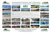 Asturias, Paraíso Natural - Centro Asturiano de ... · Interpretación del Paisaje, Problemática Ambiental, Residuos y Reciclaje, Juegos y Dinámicas de Educación Ambiental, Repoblación