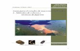 Guía para el estudio de macroinvertebrados.aquaticcommons.org/1669/1/10-Guia_para_el_estudio_de_Macroin... · Sinopsis para la conservación de los principales grupos taxonómicos