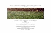 RESULTADOS DE LA INVESTIGACIÓN EN EL …web.ebd.csic.es/Website1/Parque/Documentos/Resultados2005.pdf · proyecto 14/2005 Relaciones entre la vegetación terrestre y el agua ...