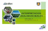 INTERPRETACION ANALISIS DE SUELOS - Irrifer - … Analisis de suelos.pdf · por sales, algún elemento tóxico, acidez • Impacto de prácticas agronómicas • Fertilidad de suelos