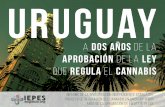 URUGUAY, A DOS AÑOS DE LA - esiglesia.orgesiglesia.org/wp-content/uploads/2016/01/Investigacion-Uruguay.pdf · lación del cannabis en la República Oriental del Uruguay, que fue