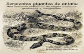Serpientes gigantes de antaño - reptilia.esreptilia.es/wp-content/uploads/2018/02/050.pdf · “encantamiento de las serpientes”. En su nueva vida los perezosos movimien-tos de