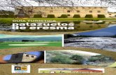 GUÍA TURÍSTICA palazuelos de eresma - …segoviaturismo.es/images/folletos_descargas/20130221133508e2d3b3... · situado en la vertiente norte de la Sierra de Guadarrama. ... SORIA,