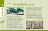 Índice temático Hortalizas - frutas-hortalizas.com · importante para ayudar a remineralizarnos. Sólo hay que mencionar, en su contra, que contiene algo de ácido oxálico por