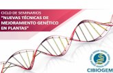 CICLO DE SEMINARIOS “NUEVAS TÉCNICAS DE · Es la introducción a la célula de oligonucleótidos homólogos a un ADN blanco y que inducen, en nucleótidos ... mejoramiento genético