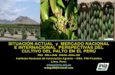 SITUACIÓN ACTUAL y MERCADO NACIONAL E …agroaldia.minagri.gob.pe/biblioteca/download/pdf/videoconferencias/... · MUNDO: PRINCIPALES PAÍSES IMPORTADORES DE PALTAS FRESCAS 2010