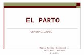 [PPT]EL PARTO - biblioceop | Just another … · Web viewEL PARTO GENERALIDADES María Teresa Cardemil J. Inst.Enf. Materna U.A.CH. El Parto Mecanismo General del Parto Canal Óseo