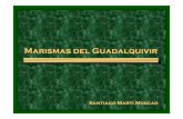 Marismas del Guadalquivir - aula.aguapedia.orgaula.aguapedia.org/file.php/13/explotacion_de_recursos/Marismas... · • Valencianos, expertos pero con tierra muy repartida buscan