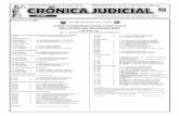 CORTE SUPERIOR DE JUSTICIA DEL SANTA … · PODER JUDICIAL DEL PERÚ ... Básico de Justicia de Nuevo Chimbote, de la Corte Superior de Justicia del Santa, a cargo del Sr. Juez Dra.