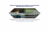 Manifestación de impacto ambiental Modalidad particularsinat.semarnat.gob.mx/dgiraDocs/documentos/tab/estudios/2008/27TA... · principales factores que rigen el nivel socioeconÓmico